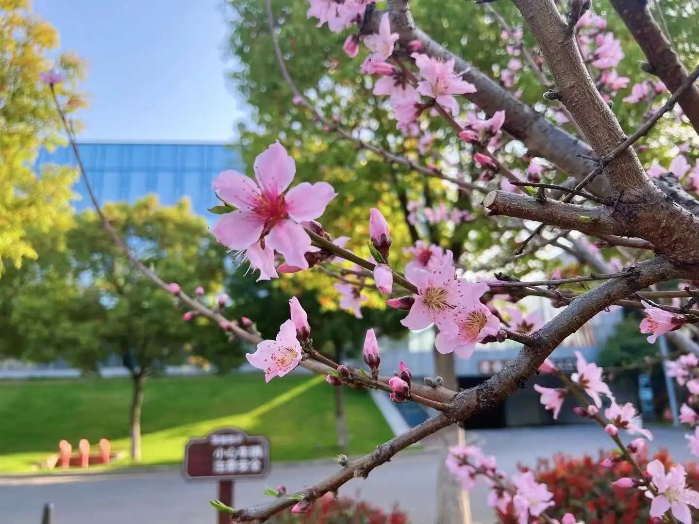 1744264780880023640.jpg 1744264780880023640.jpg