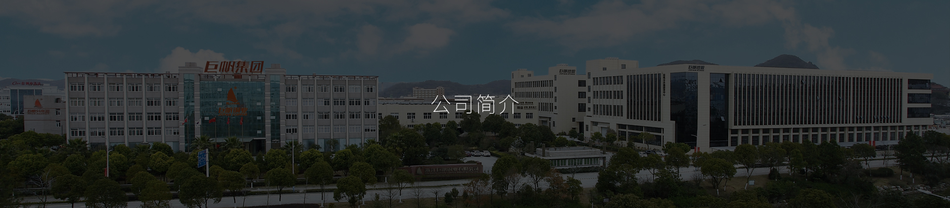 企業(yè)概況